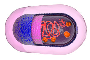 Mucking up the membrane