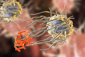 Earliest signs of active TB revealed