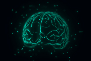 Metal nanoparticles disrupt brain development