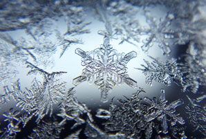 Chipping away at a new antifreeze protein