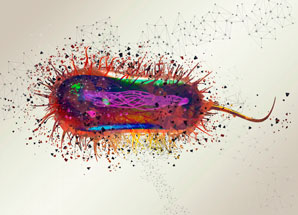 Bacteria-killing antibody drug