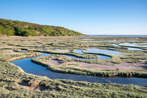British salt marshes at risk from rising seas