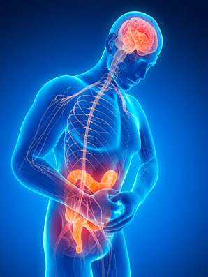 Gut rhythm