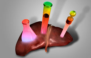 Liver-on-a-chip for testing drug toxicity