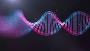 Efficient, cost-effective technique for 3D genome mapping