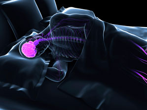Linking the brain’s sleep and wakefulness circuits