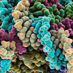 Protein evolution by numbers