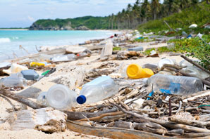 Breaking down the afterlife of biodegradable plastics 