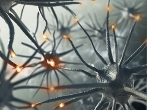 Lighting the synaptic pathway
