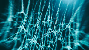 New drug lead for motor neuron disease
