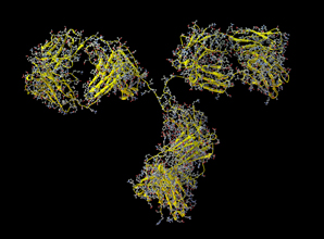 A precision oncology test for colorectal cancer