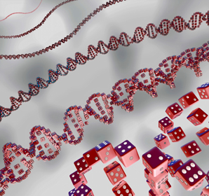An autonomous on-off switch for genes