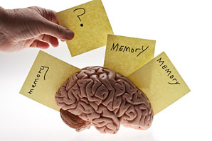 Brain connections underpin confidence in one’s own memories