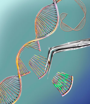 A new way to interrogate the non-coding genome