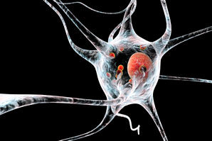 Determining the structure of Parkinson’s disease