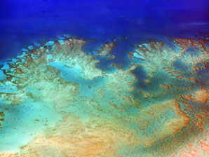 Deep reef refuges at risk