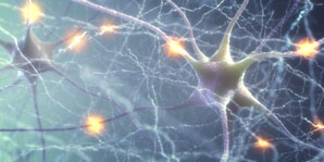 Synaptic changes explain genetic link to psychiatric disease