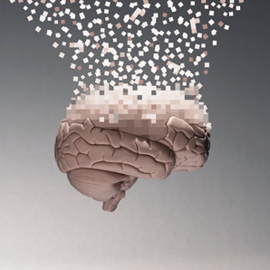 Changes to RNA aid in learning and memory