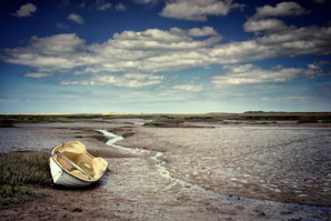 Tidal zones on the ebb