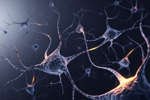 Alzheimer’s disrupts birth of new brain cells