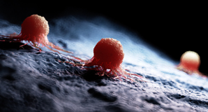 Switching energy source allows cancer cells to survive in lymph nodes
