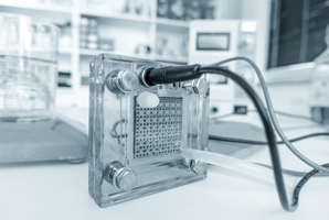 Poison control for fuel cells