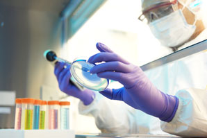 Biofuel from bacteria