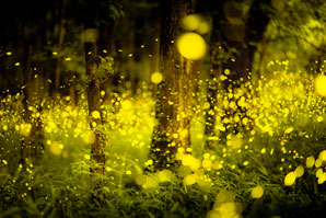 Bright idea for chemical clean up