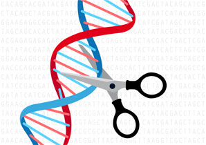 DNA editor’s mistakes mapped