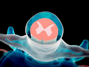 How the brain drains