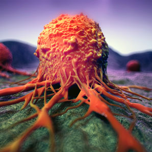 Cancer gene shapes the surrounding immune milieu