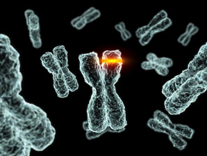 Tissue specificity of inherited cancer syndrome explained