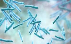 Mechanism of resistance to anti-tuberculosis drugs explained