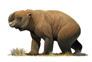 The fate of Australia’s megafauna