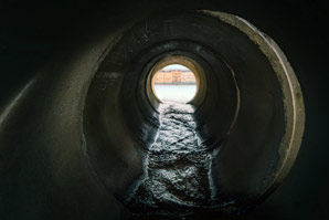 Sewage tells society secrets