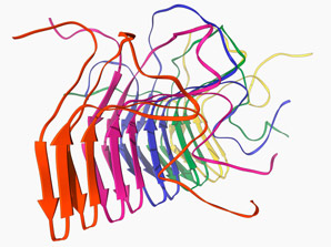 How prion proteins stack up