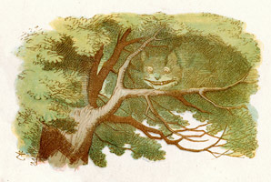 Cheshire cat effect confirmed to be quantum
