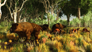 Climate change killed the giant kangaroo