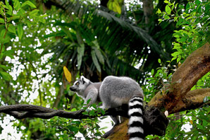 Wildlife hotspots will feel the heat