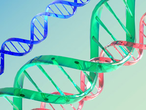 Spiralling fear linked to spiralling DNA