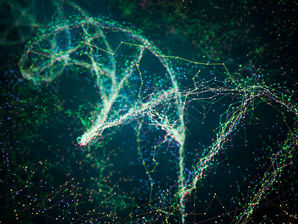 Map charts spatial contacts in DNA