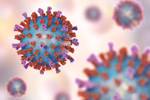 Mapping the structure of a viral enzyme