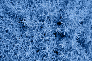 Growing molecular brushes on surfaces