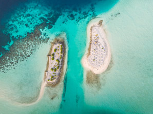 Coral chronicles the Indian Ocean’s ups and downs