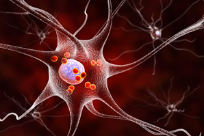 Hormone-like substances could slow Parkinson’s disease
