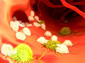 Immune expansion behind cancer drugs’ effects
