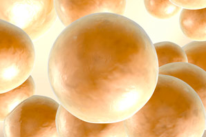 Liver enzyme implicated in diabetes and obesity