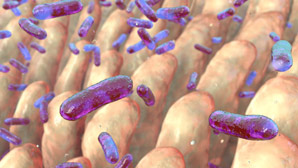  Time-stamped stool reveals risk of diabetes