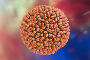 How reoviruses get released from cells
