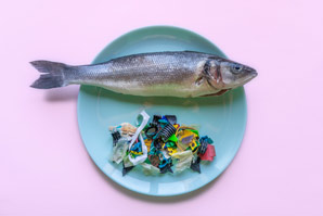 Chemical analysis reveals microplastic concentrations in seafood